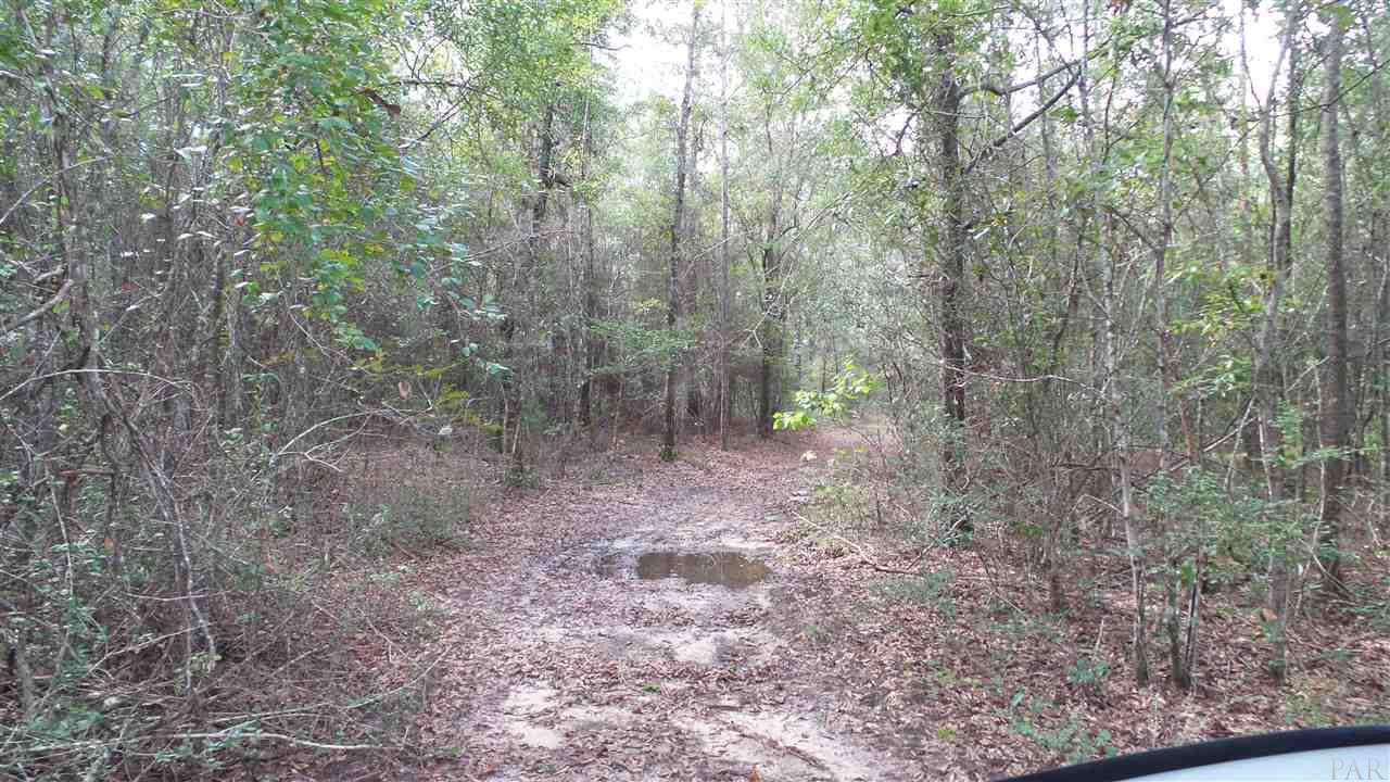0 Old Weekley Road, Unit PARCEL A Bay Minette, AL 36507 - Photo 8 of 17 Gallery Image 8