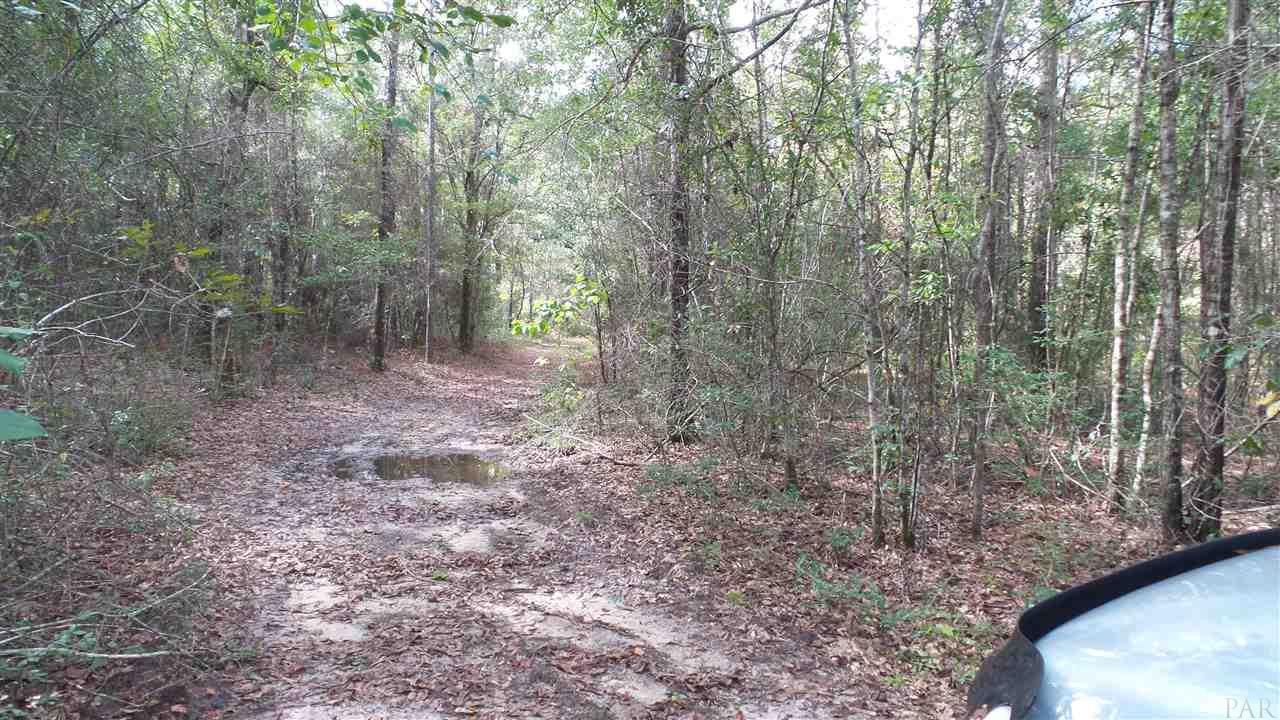0 Old Weekley Road, Unit PARCEL A Bay Minette, AL 36507 - Photo 9 of 17 Gallery Image 9