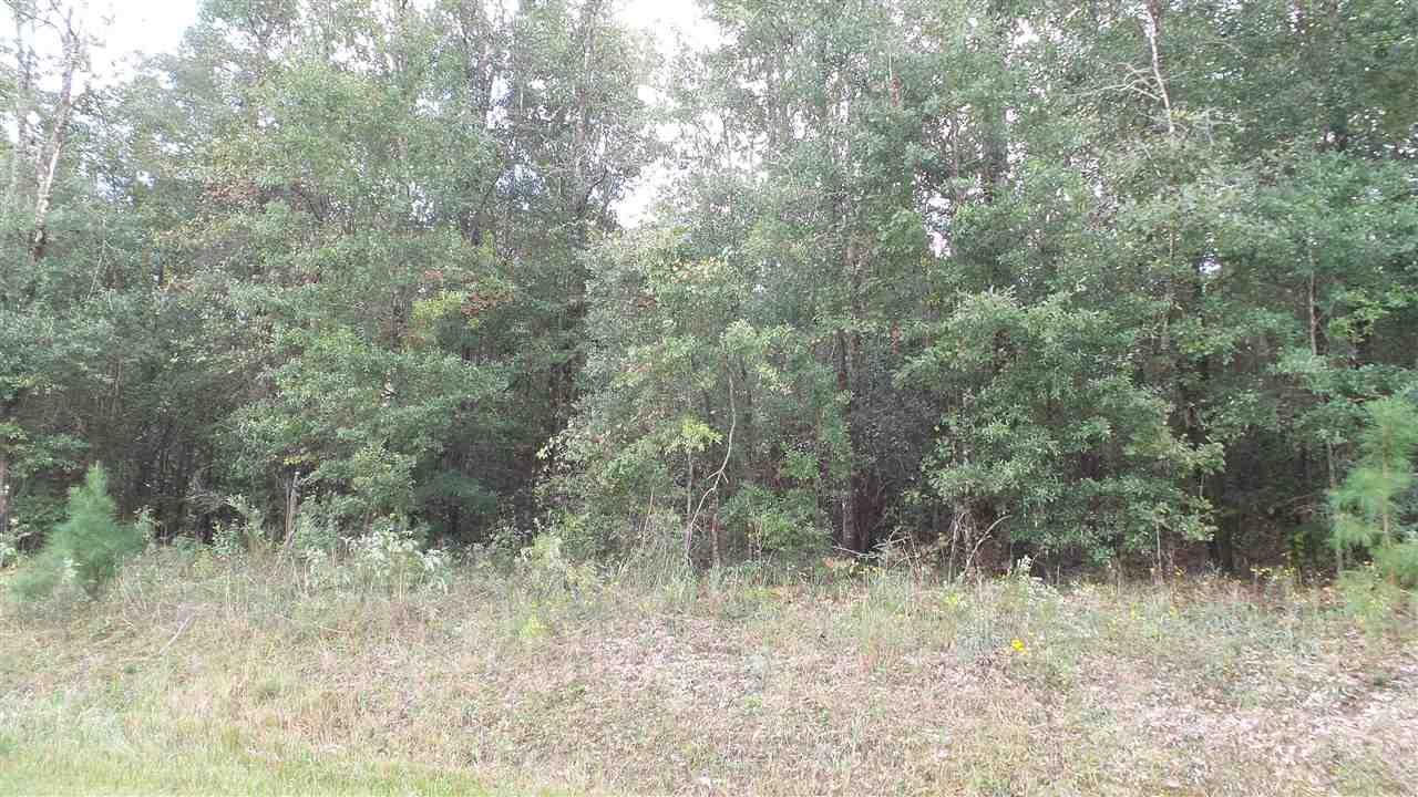 0 Old Weekley Road, Unit PARCEL A Bay Minette, AL 36507 - Photo 10 of 17 Gallery Image 10