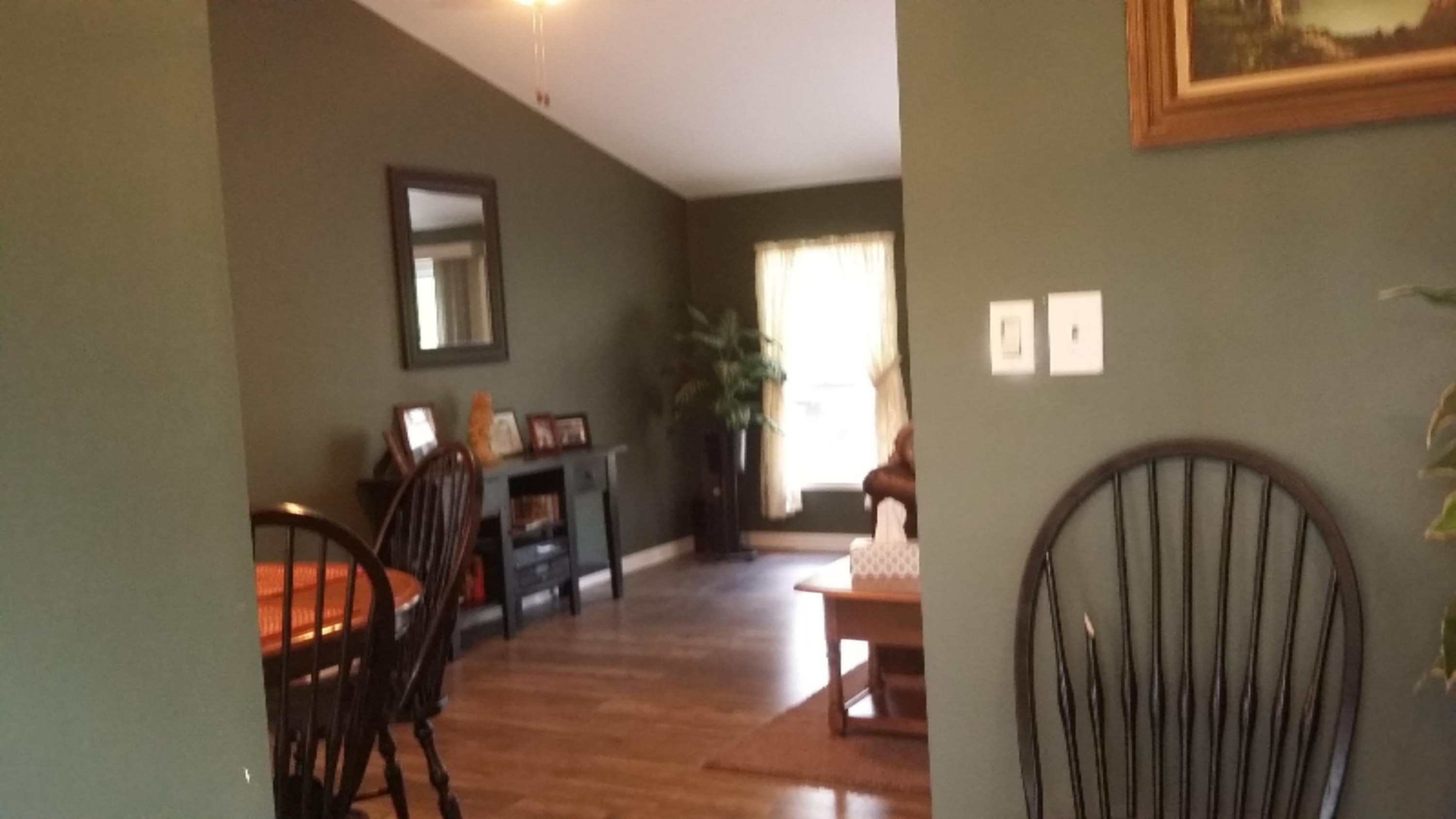3778 South Centerline Road Fremont, MI 49412 - Photo 22 of 52 20170728_144647