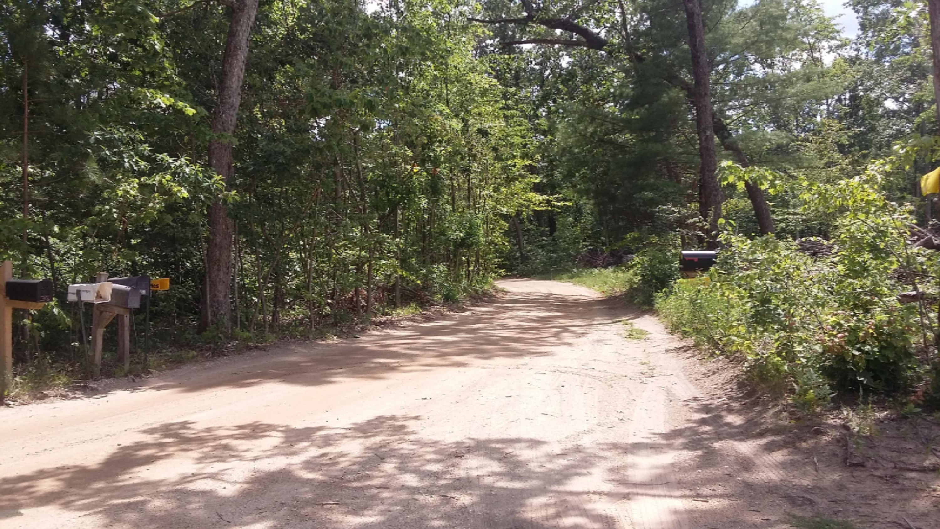 3778 South Centerline Road Fremont, MI 49412 - Photo 52 of 52 20170728_144154