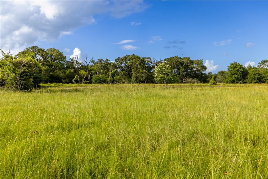 10102 Ferrill Creek Road Bryan, TX 77808 - Photo 26 of 29