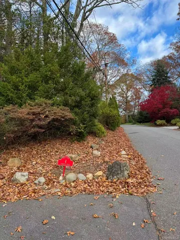 a view of road and yard
