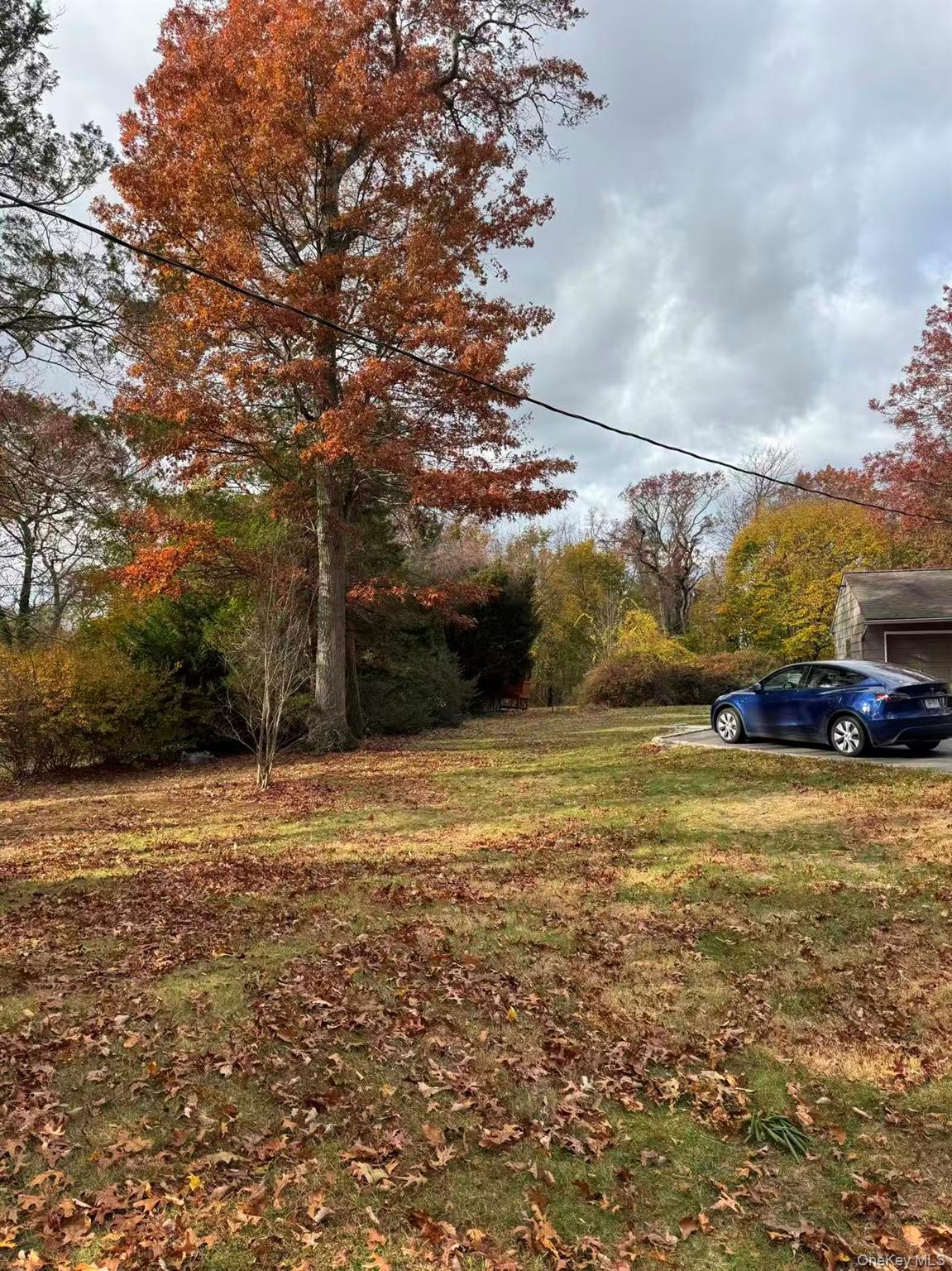4 Norgate Road Glen Head, NY 11545 - Photo 4 of 25 a view of road and yard