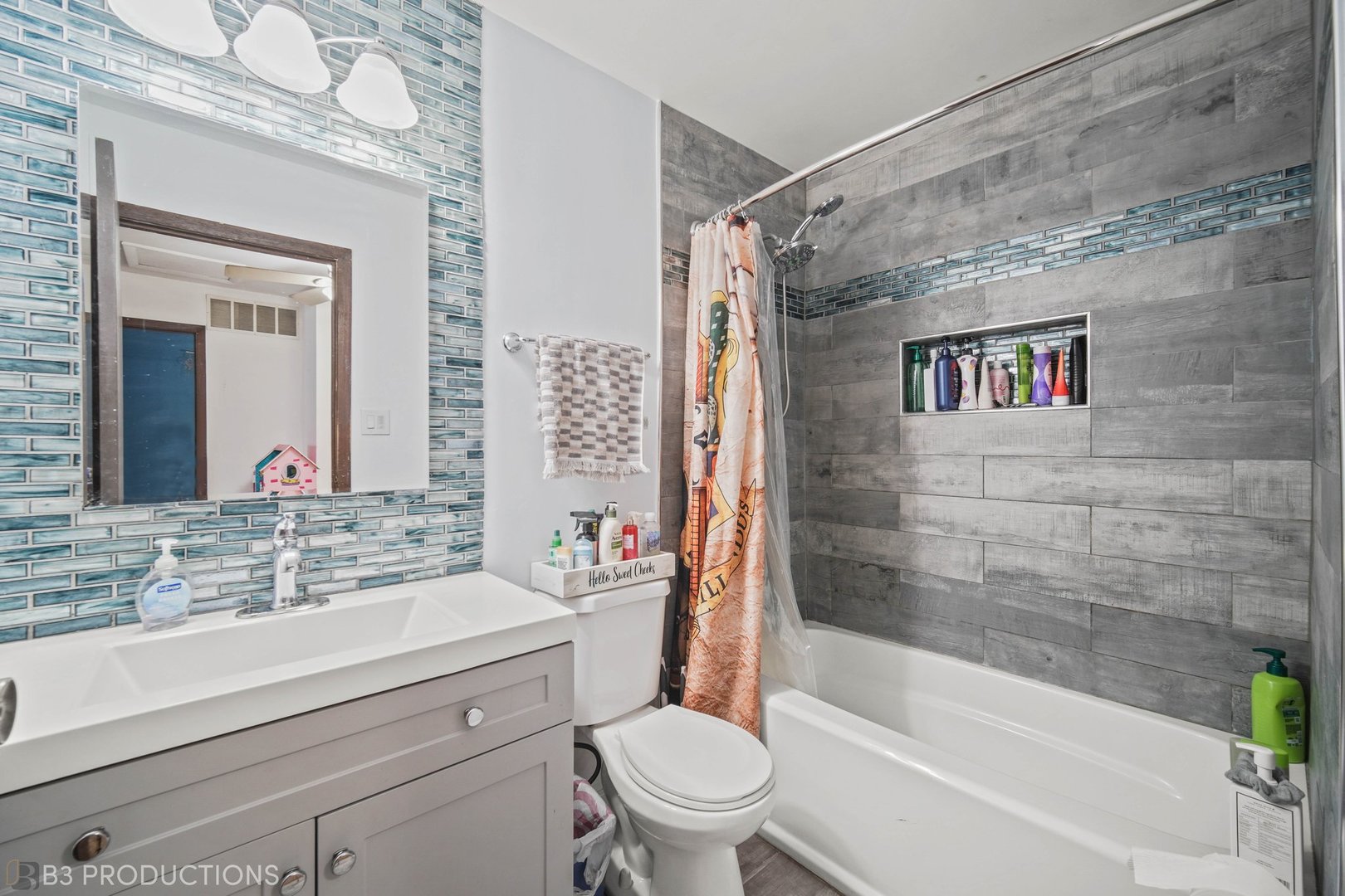 20656 South Acorn Ridge Drive Frankfort, IL 60423 - Photo 16 of 19 a bathroom with a sink a toilet and a bathtub
