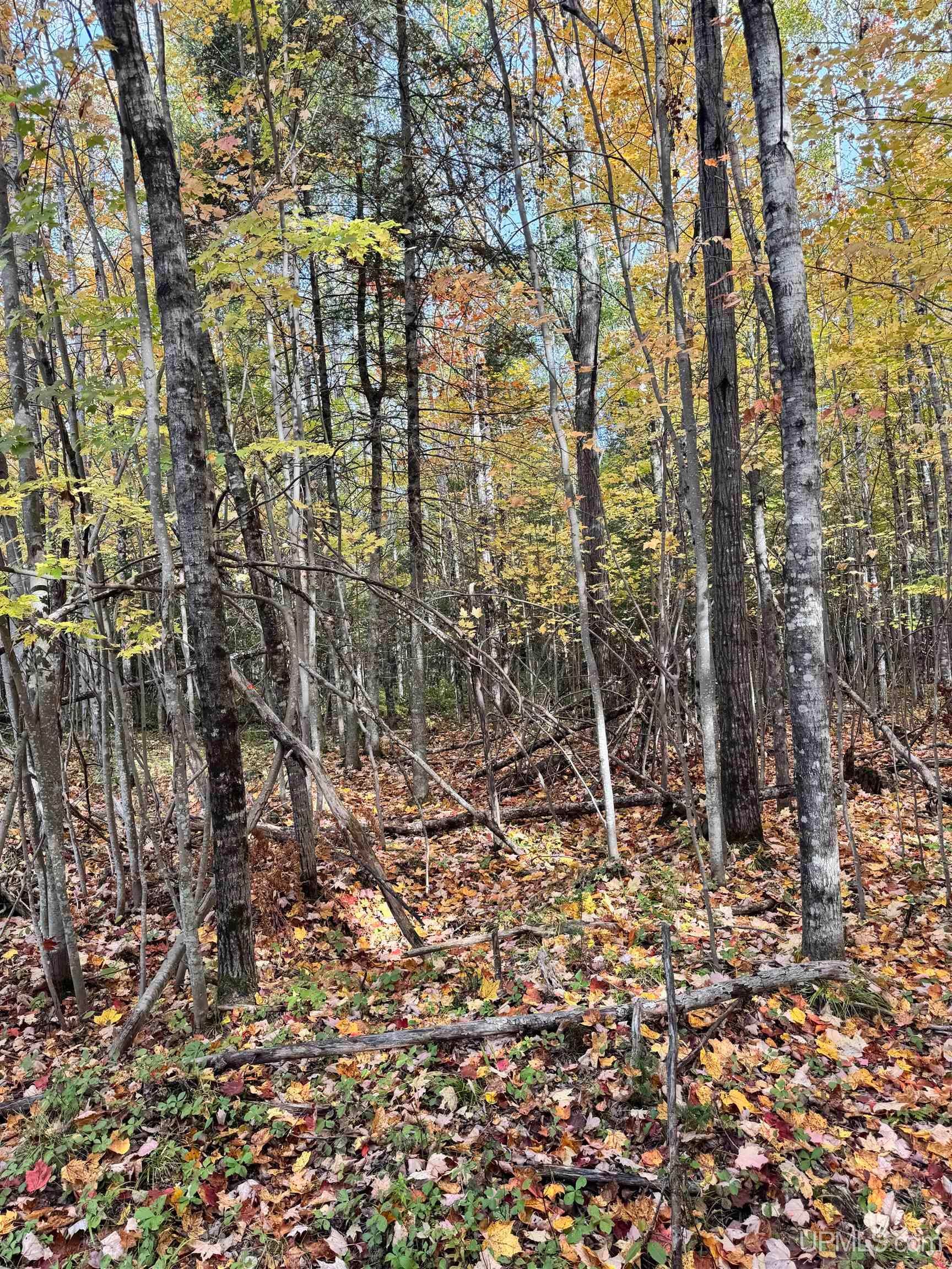 Tbd Tbd Off 26th Road Gladstone, MI 49837 - Photo 3 of 16 Gallery Image 3