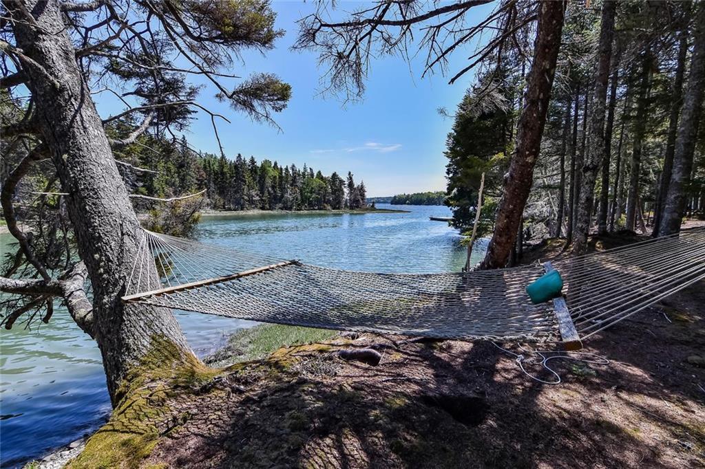 98 Fish Creek Road Deer Isle, ME 04627 - Photo 31 of 35 Hammock on the shore
