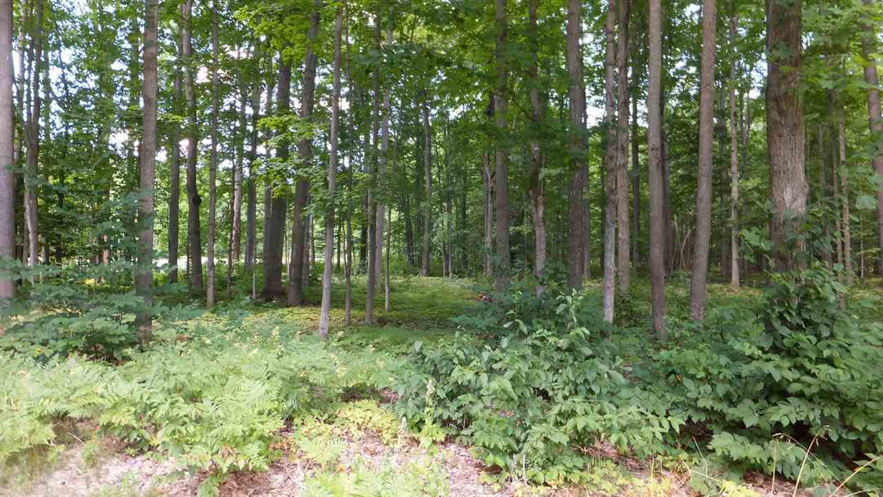 3161 Long Road Thompsonville, MI 49683 - Photo 23 of 30 1821970-22.JPG