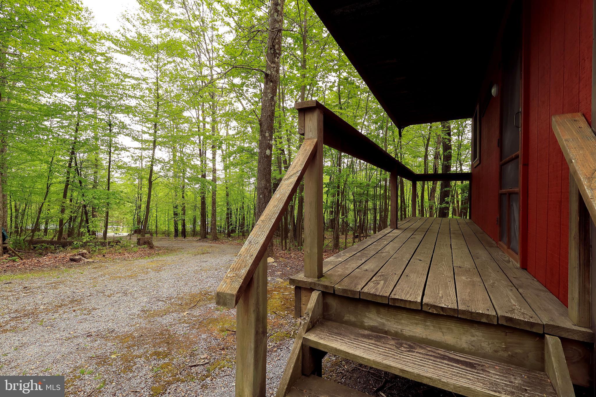 299 Snow Shoe Mountain Forest Road Snow Shoe, PA 16874 - Photo 23 of 27