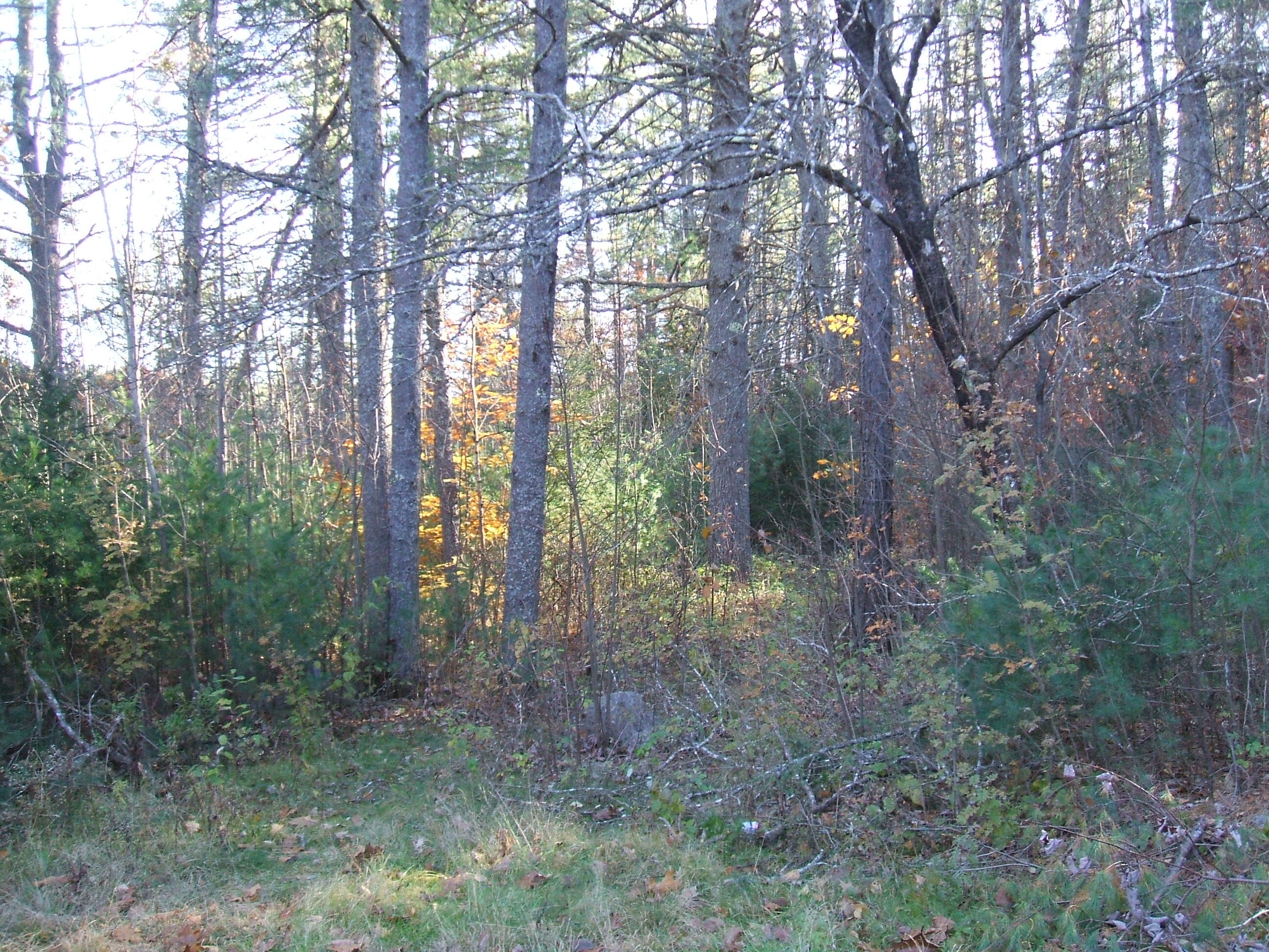 0 Federal Road Parsonsfield, ME 04020 - Photo 1 of 3 jody2