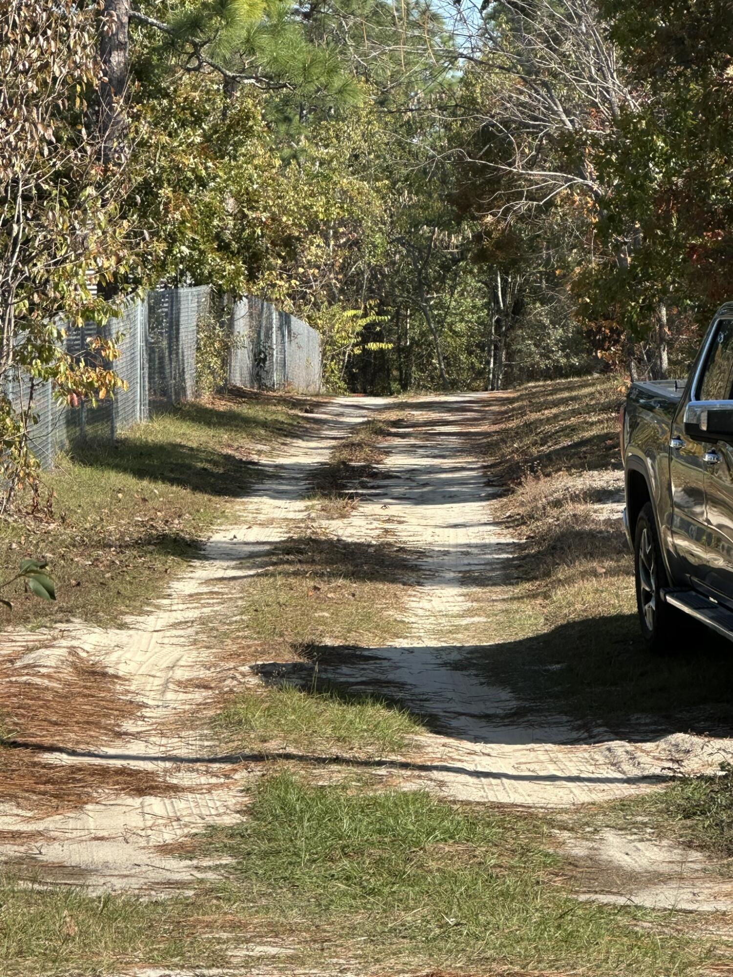 3009 Camp Josey Road Blythe, GA 30805 - Photo 28 of 34 driveway