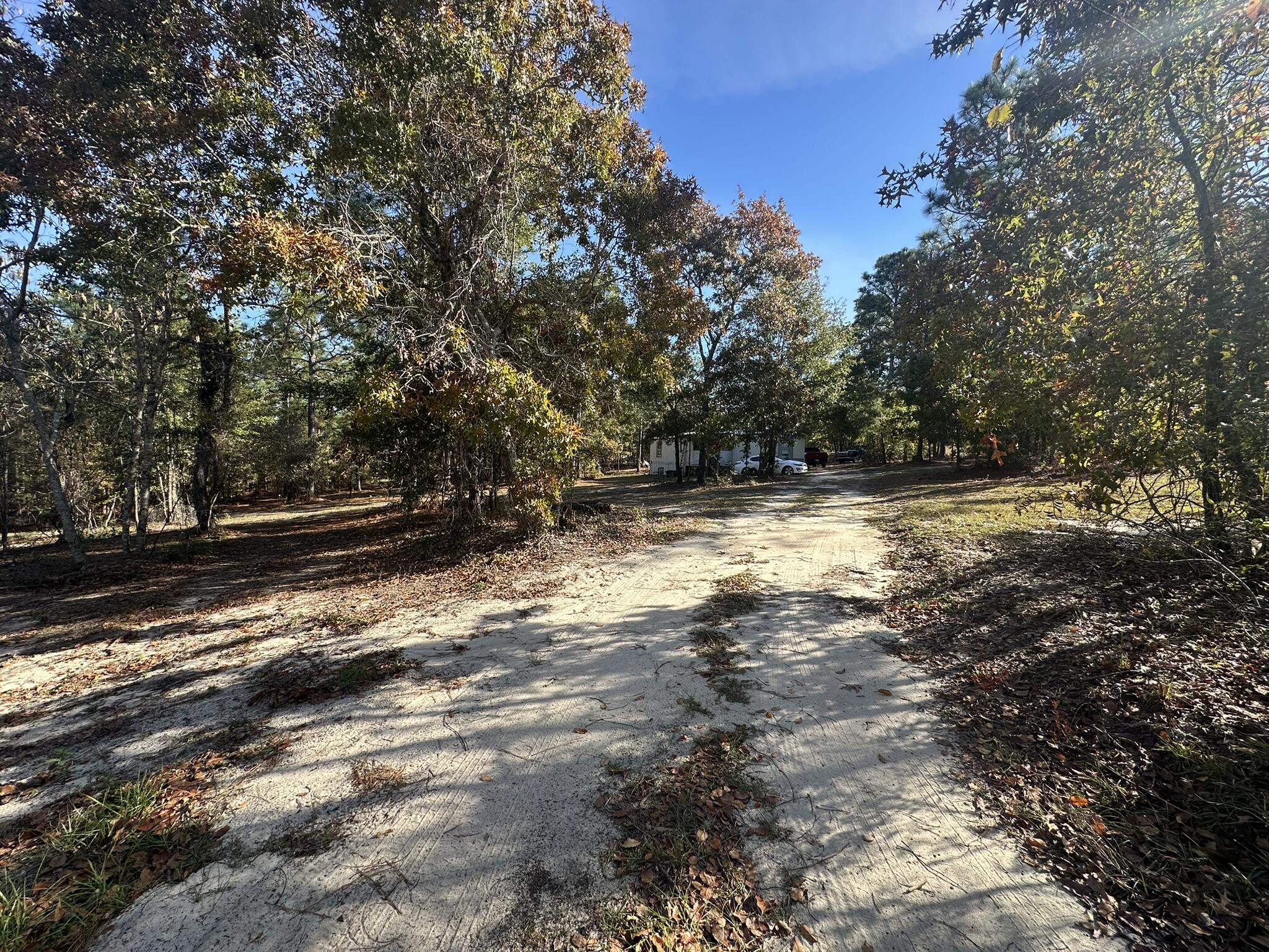 3009 Camp Josey Road Blythe, GA 30805 - Photo 29 of 34 Driveway