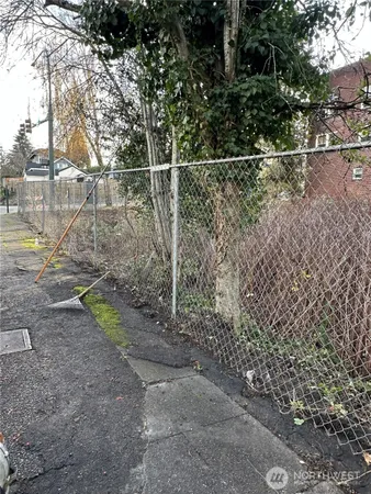 a view of a yard with a tree