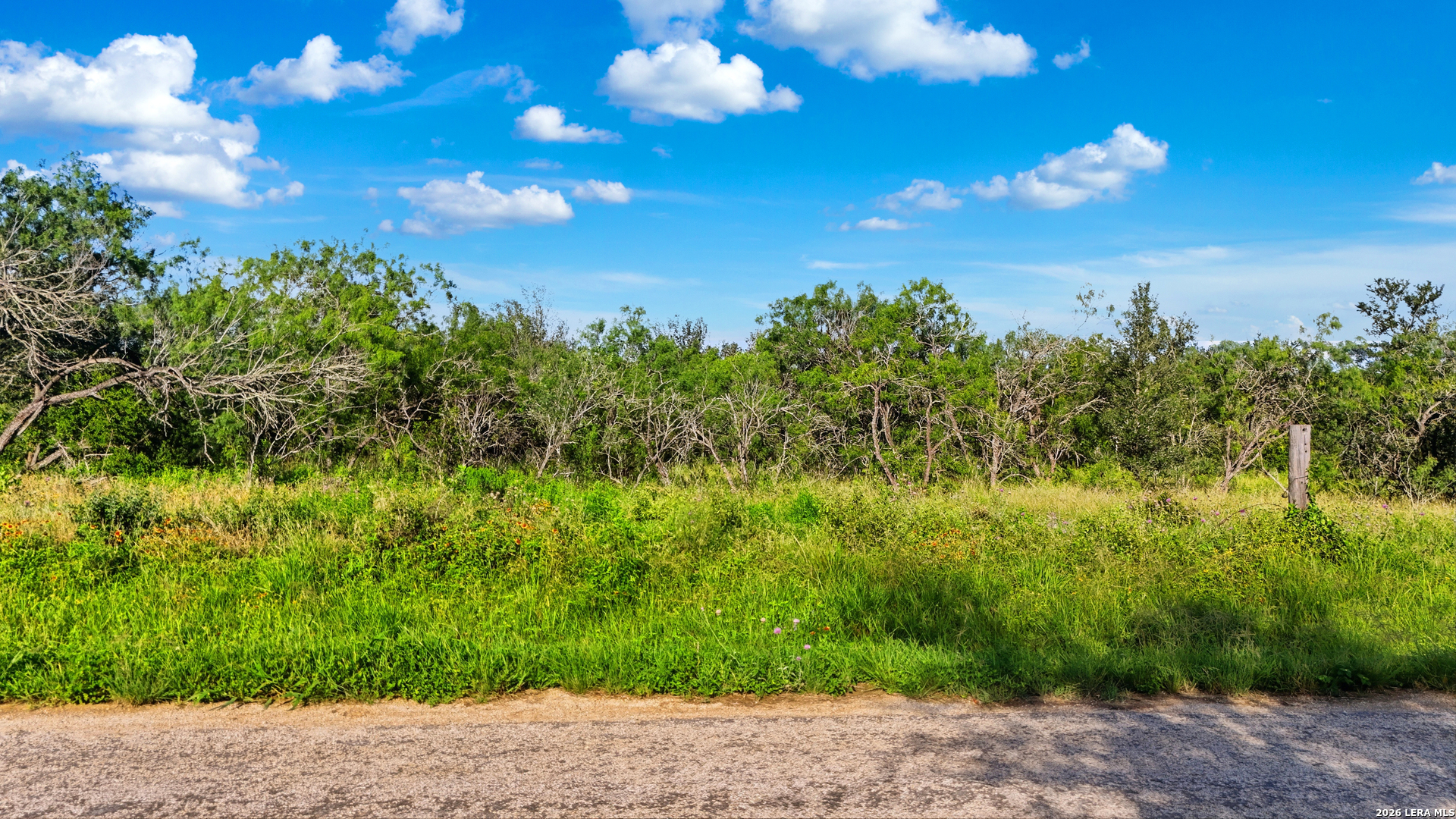 445 Marrou Rd (lot 2) Seguin, TX 78155 - Photo 2 of 13