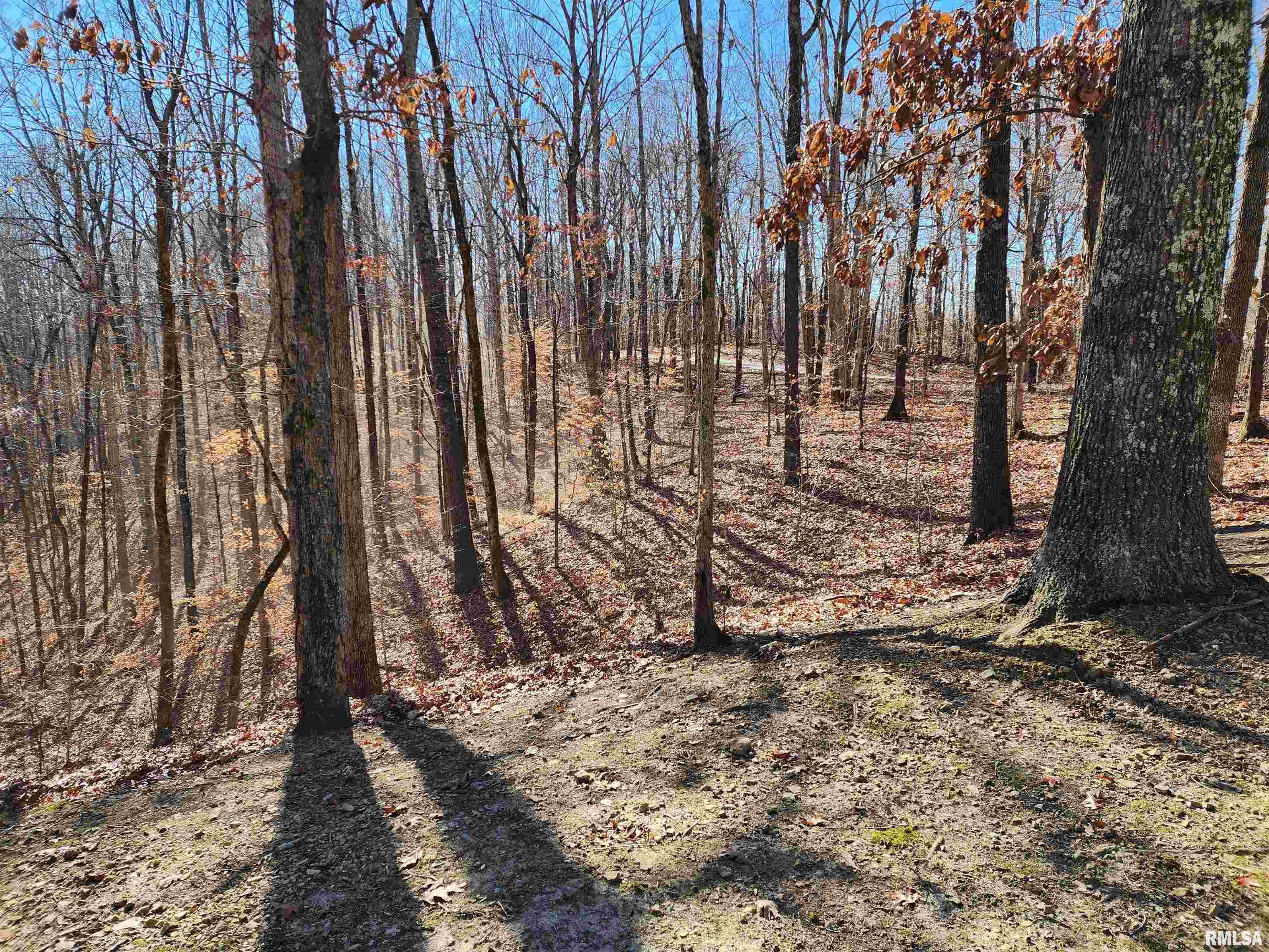 368 Pauper Farm Road Elizabethtown, IL 62931 - Photo 7 of 18 Gallery Image 7