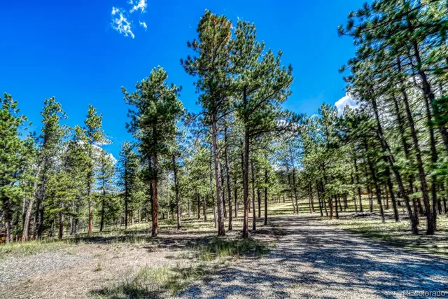 $379,000 | 283 Gabbert Drive, Westcliffe, CO 81252