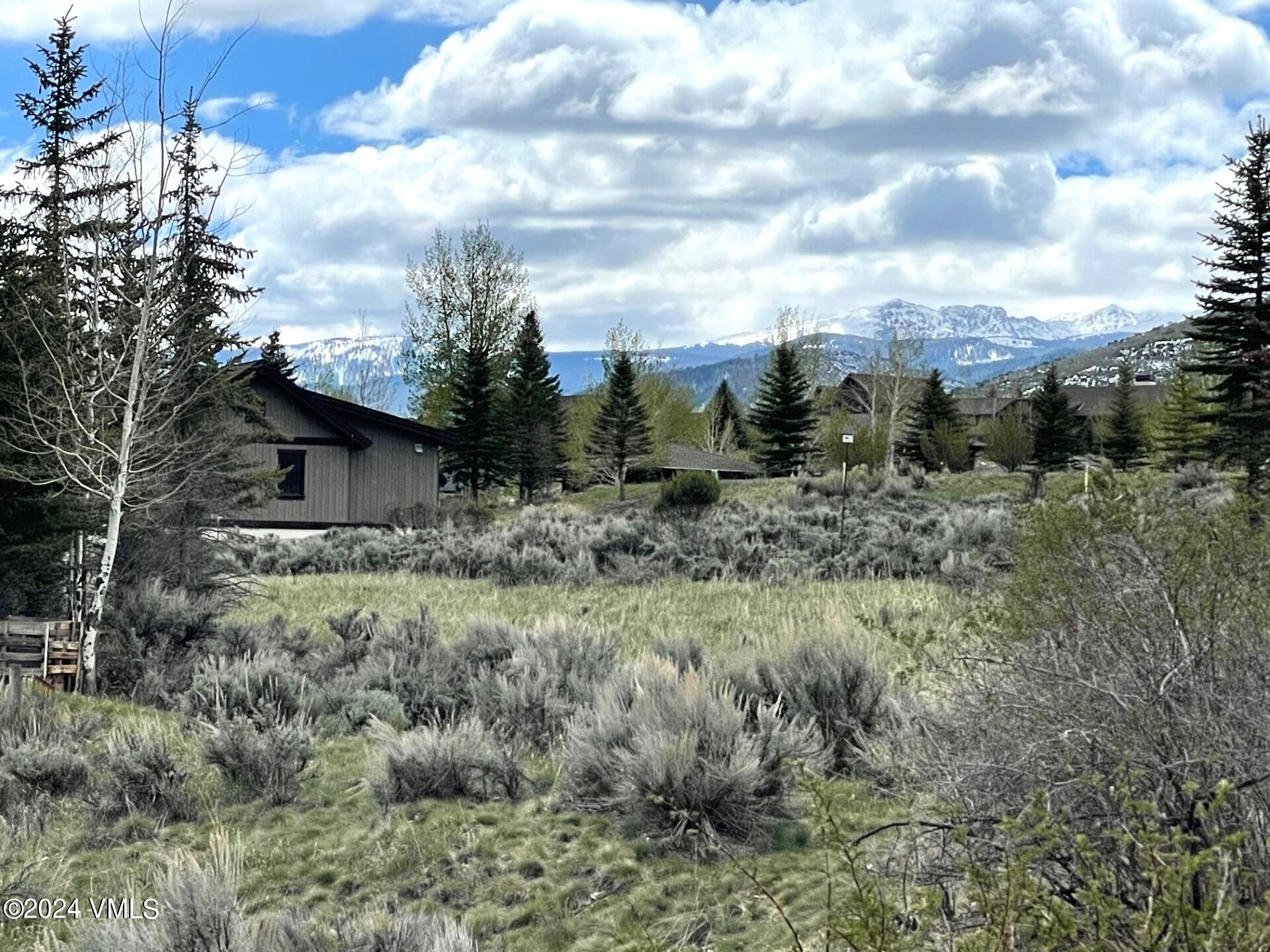 46 Left Lady Belle Place Eagle, CO 81631 - Photo 10 of 12 a view of a dry yard with trees