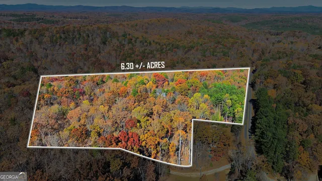 a view of a city with lush green forest