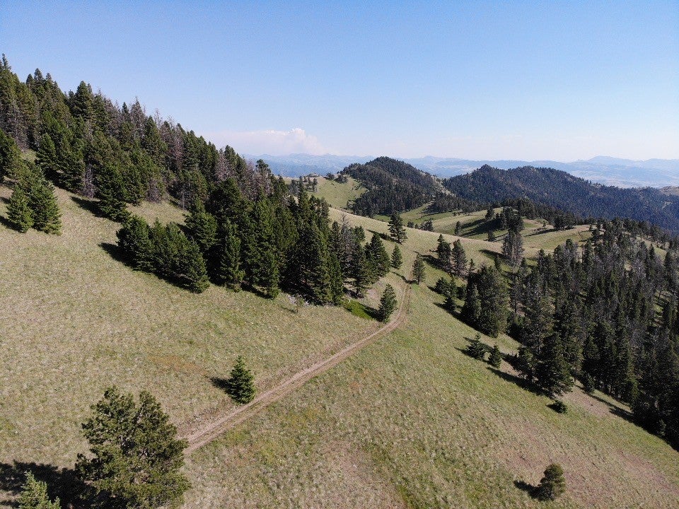 Tbd Outer Loop Road Cascade, MT 59421 - Photo 13 of 20 Gallery Image 13