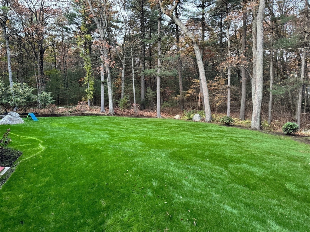 106 Walpole Street Dover, MA 02030 - Photo 30 of 30