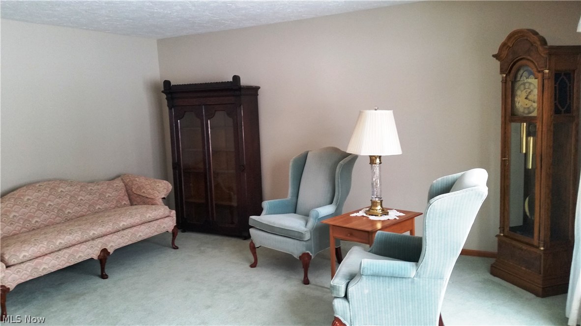 17188 Diagonal Road Lagrange, OH 44050 - Photo 4 of 28