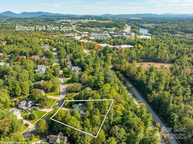 $1,375,000 | 36 White Ash Drive, Asheville, NC 28803
