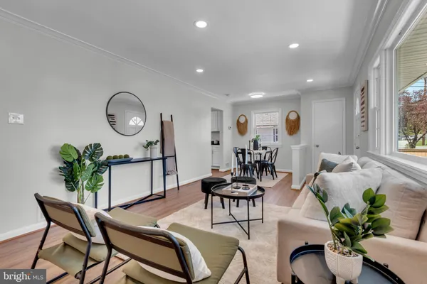 a living room with furniture potted plant and window