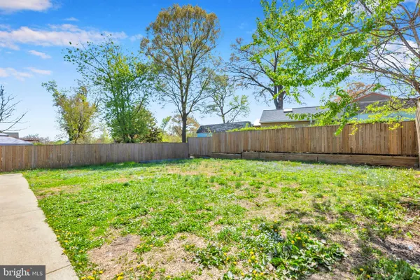 a view of a backyard with large tree and wooden fence