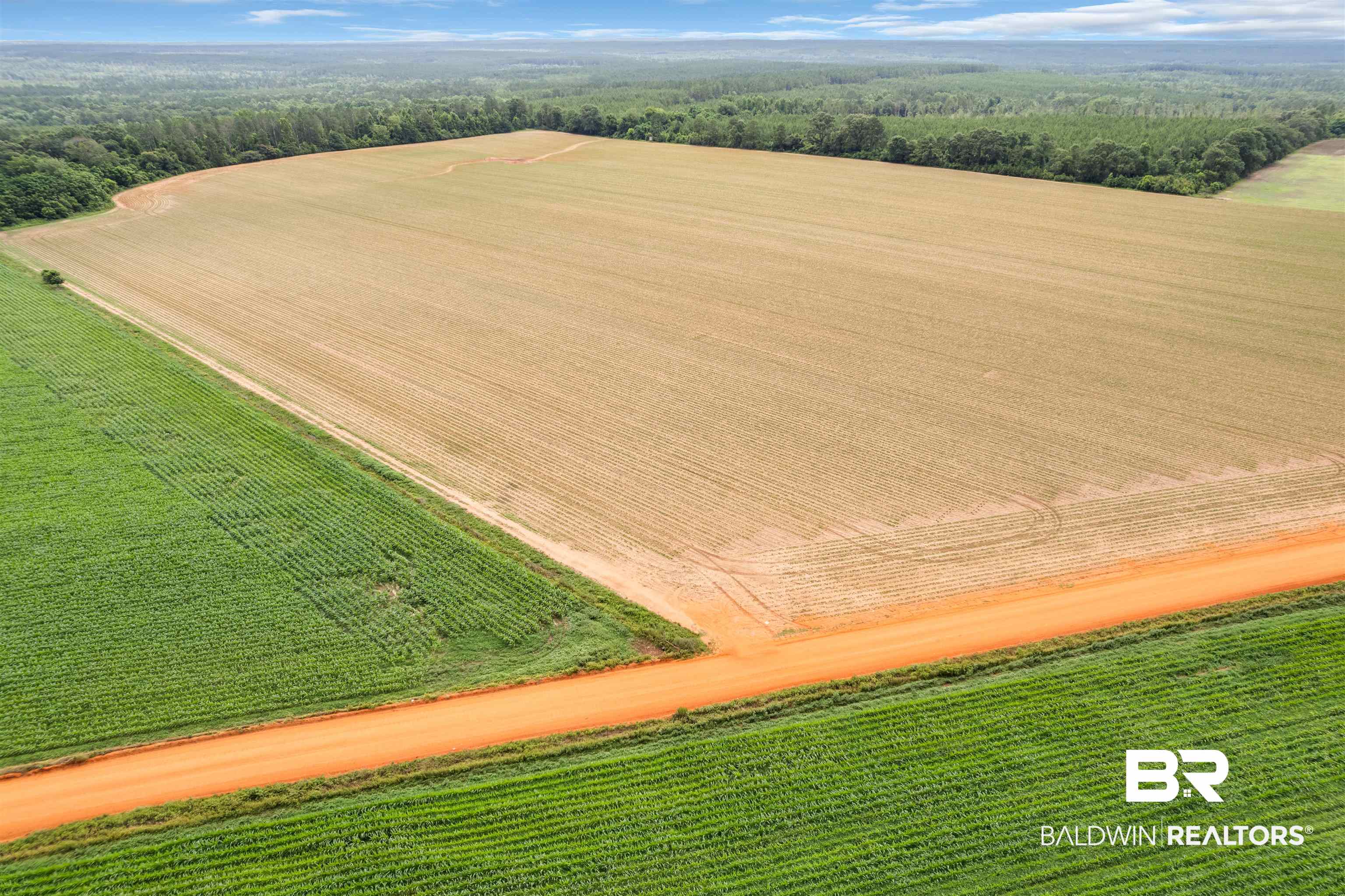0 Old Stage Road Repton, AL 36475 - Photo 15 of 27 Gallery Image 15