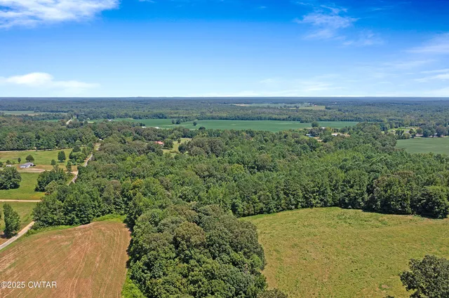 a view of a big yard with lots of green space