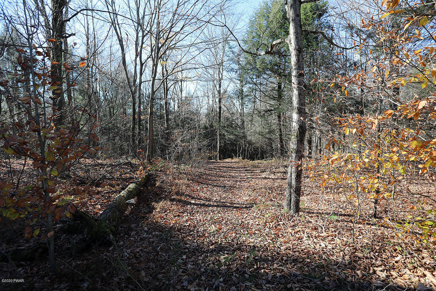 276 Rotten Road Equinunk, PA 18417 - Photo 27 of 45