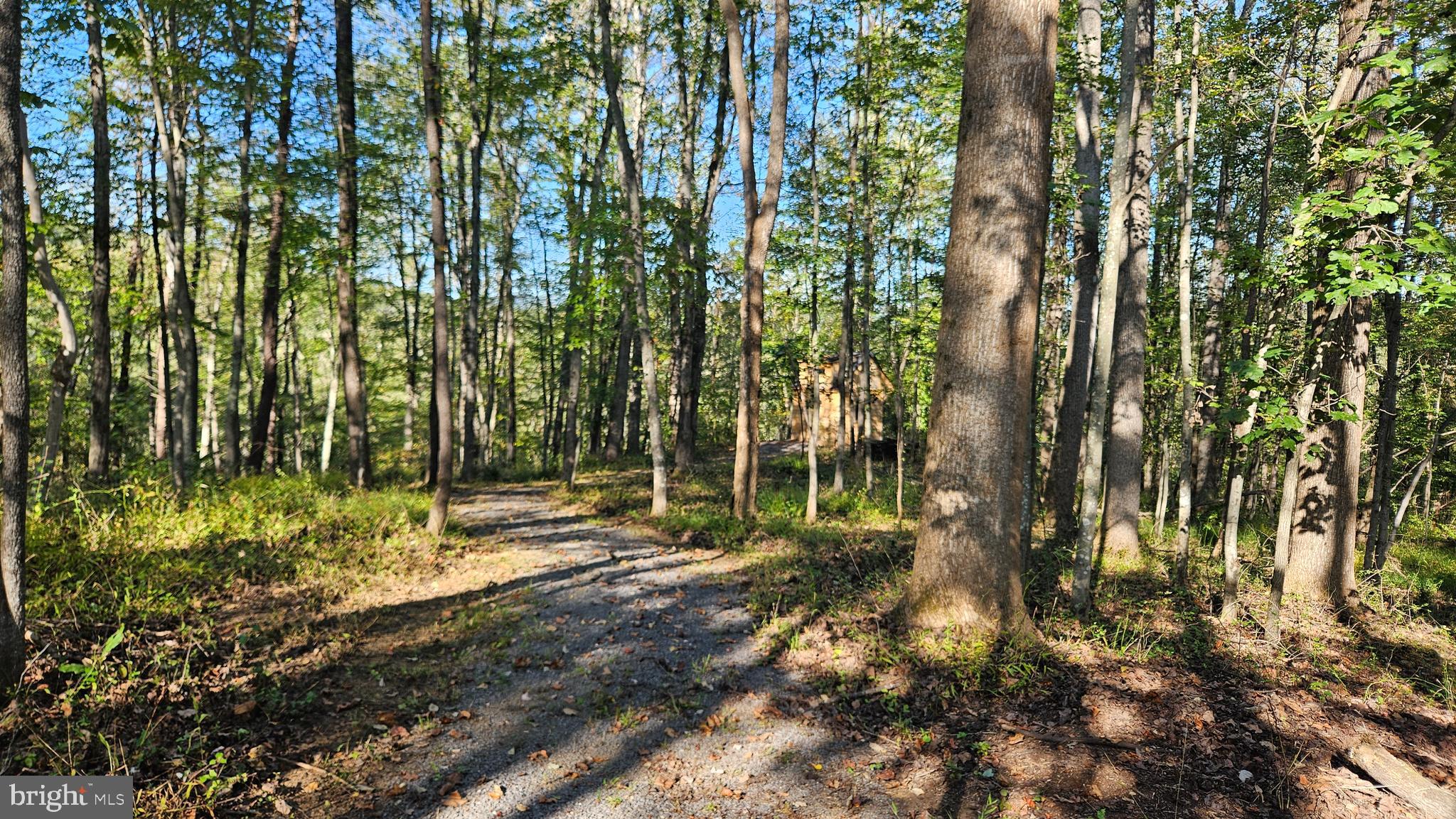 0 Sharp Rock Road Sperryville, VA 22740 - Photo 15 of 31 a view of outdoor space and trees