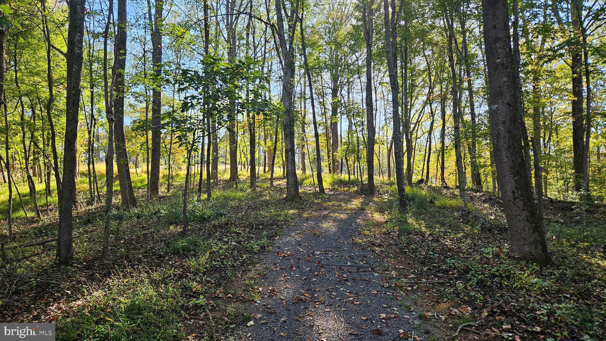 0 Sharp Rock Road Sperryville, VA 22740 - Photo 20 of 31 a view of outdoor space and garden