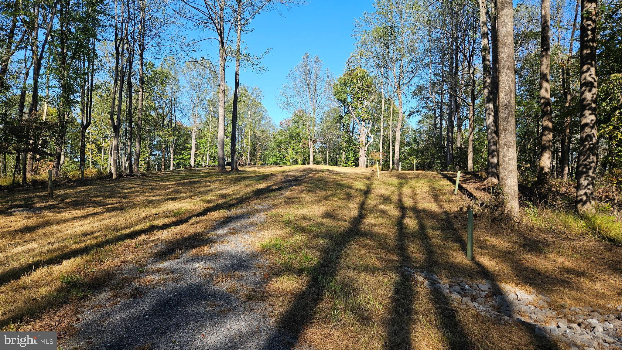 0 Sharp Rock Road Sperryville, VA 22740 - Photo 2 of 31 a view of a yard with tree s