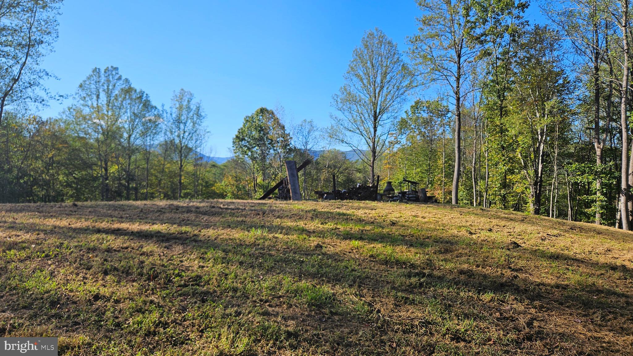 0 Sharp Rock Road Sperryville, VA 22740 - Photo 28 of 31 a view of dirt yard with large trees