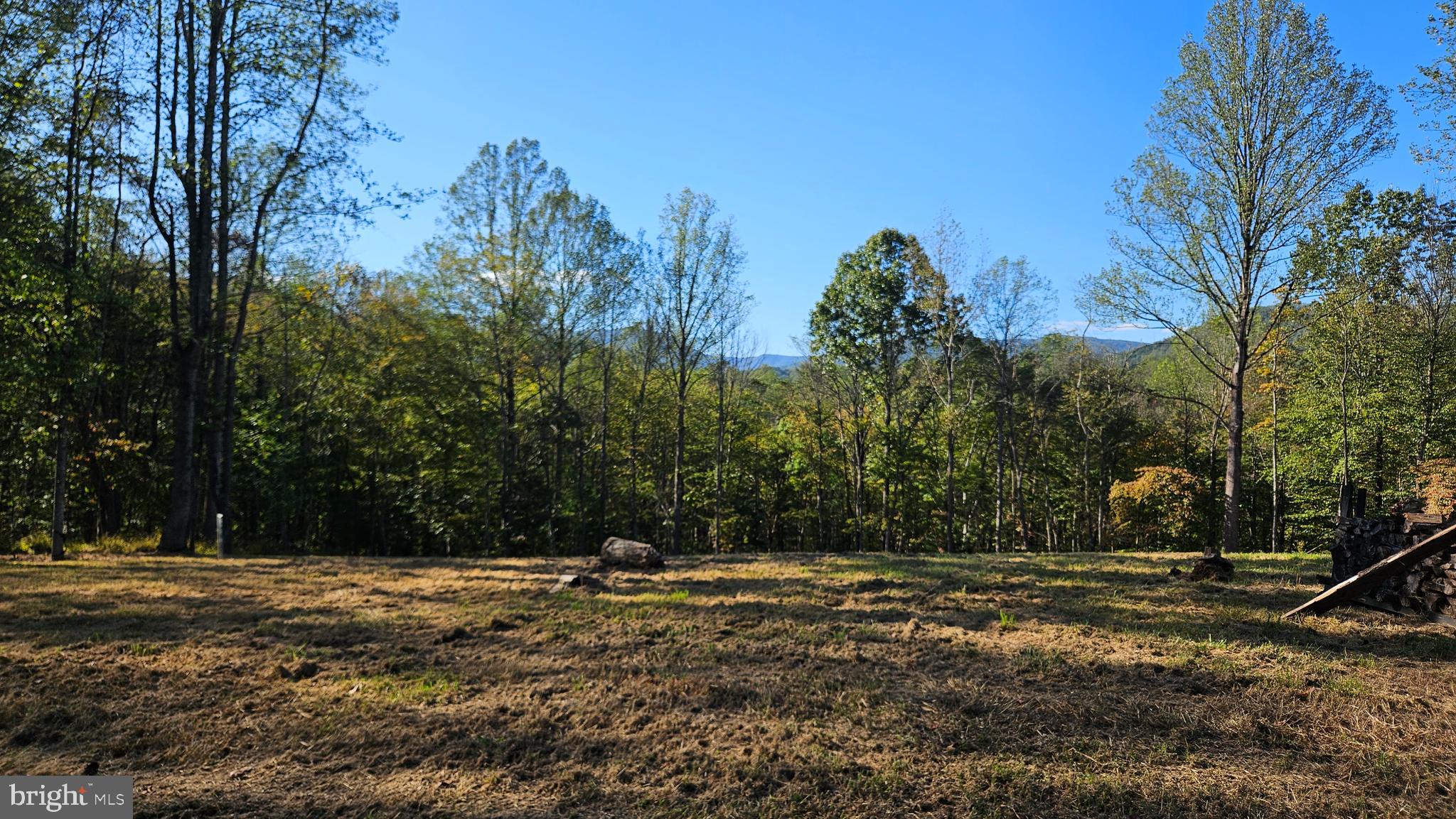 0 Sharp Rock Road Sperryville, VA 22740 - Photo 5 of 31 a view of a yard with trees