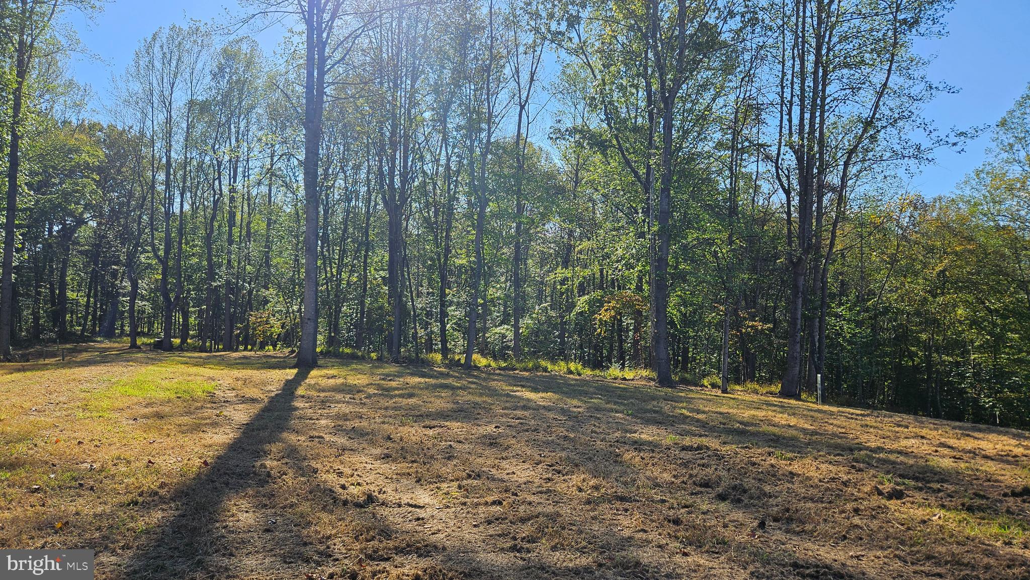 0 Sharp Rock Road Sperryville, VA 22740 - Photo 7 of 31 a view of a yard with trees