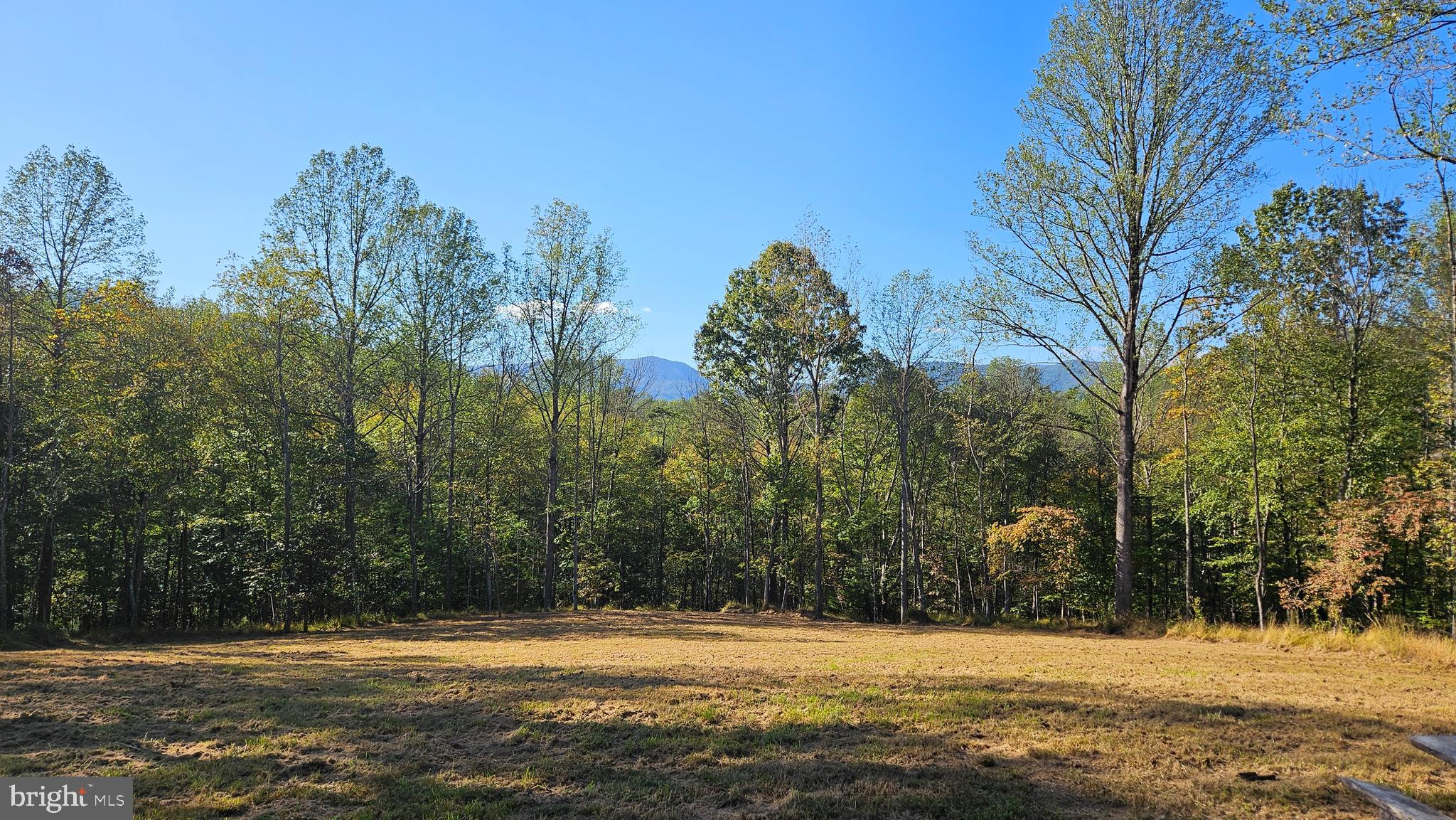 0 Sharp Rock Road Sperryville, VA 22740 - Photo 10 of 31 a view of a house with a yard