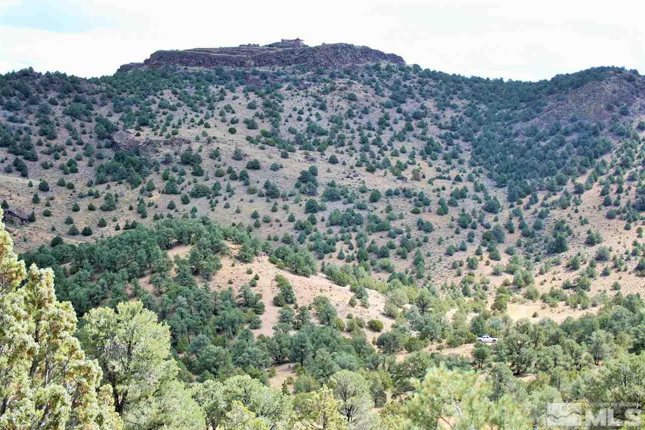 5100 Castle Peak Road Reno, NV 89521 - Photo 1 of 1 a view of a large mountain in the distance in a field