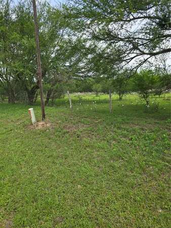 a big yard with lots of green space and trees