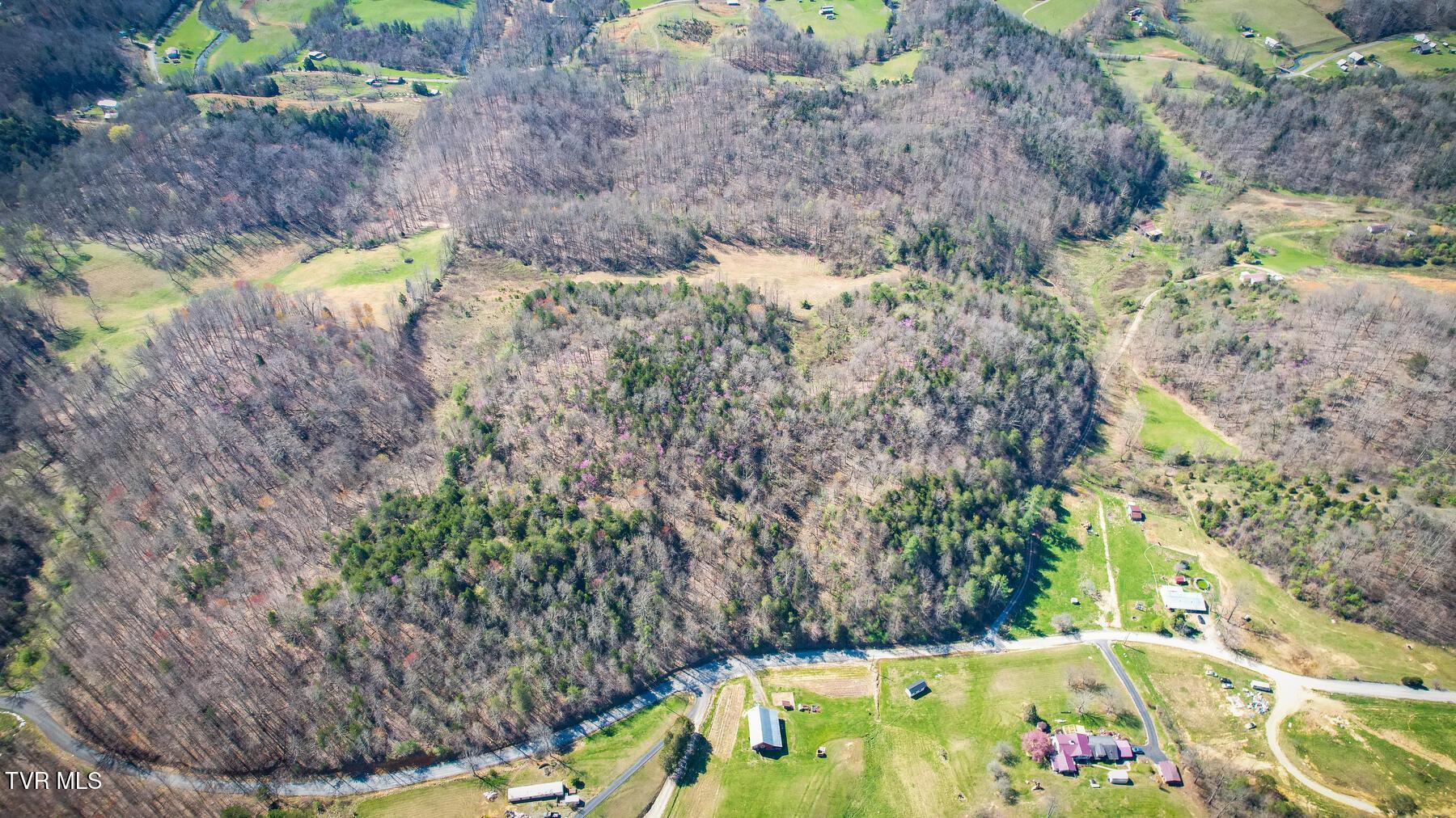 Tbd Ivy Valley Road Gate City, VA 24251 - Photo 5 of 12 20230331160009403496000000-o