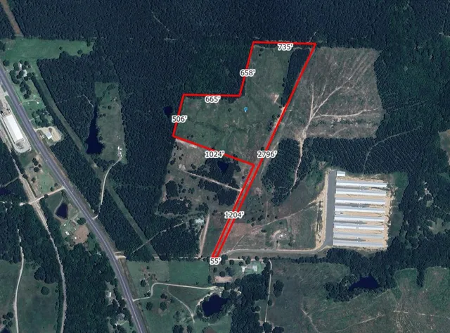 a bird view of an outdoor space