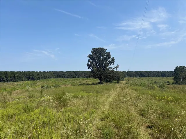 a view of a lake in middle of the green field