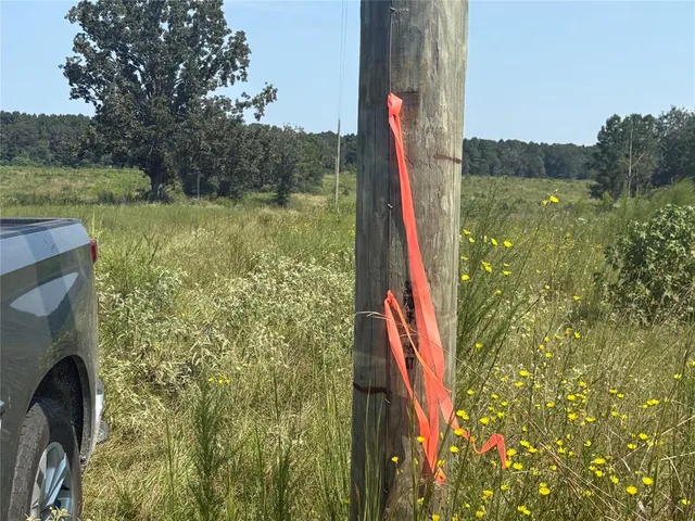 a view of a garden with a lake and mountain view
