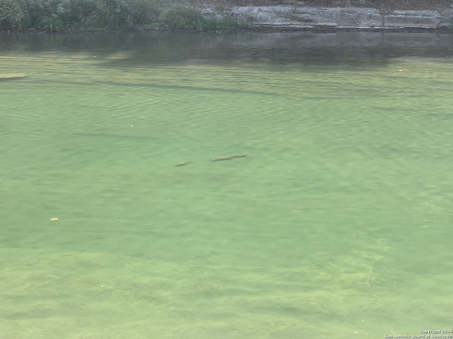 831 Wade Road New Braunfels, TX 78132 - Photo 17 of 35 a view of a lake view