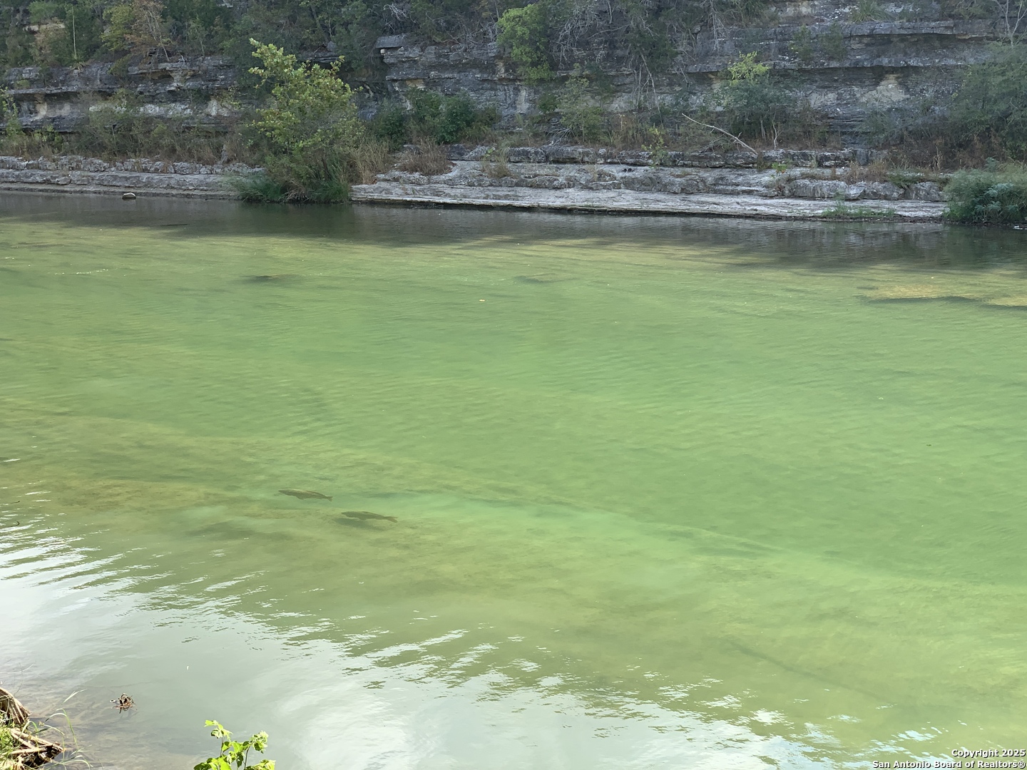 831 Wade Road New Braunfels, TX 78132 - Photo 18 of 35 a view of a lake view