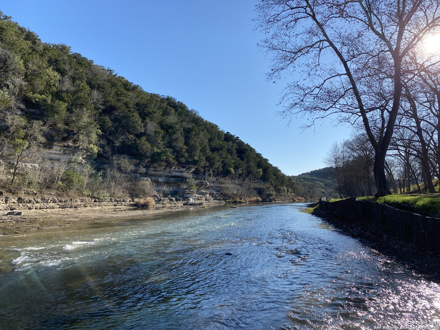 831 Wade Road New Braunfels, TX 78132 - Photo 2 of 35 a view of dirt yard with a large tree