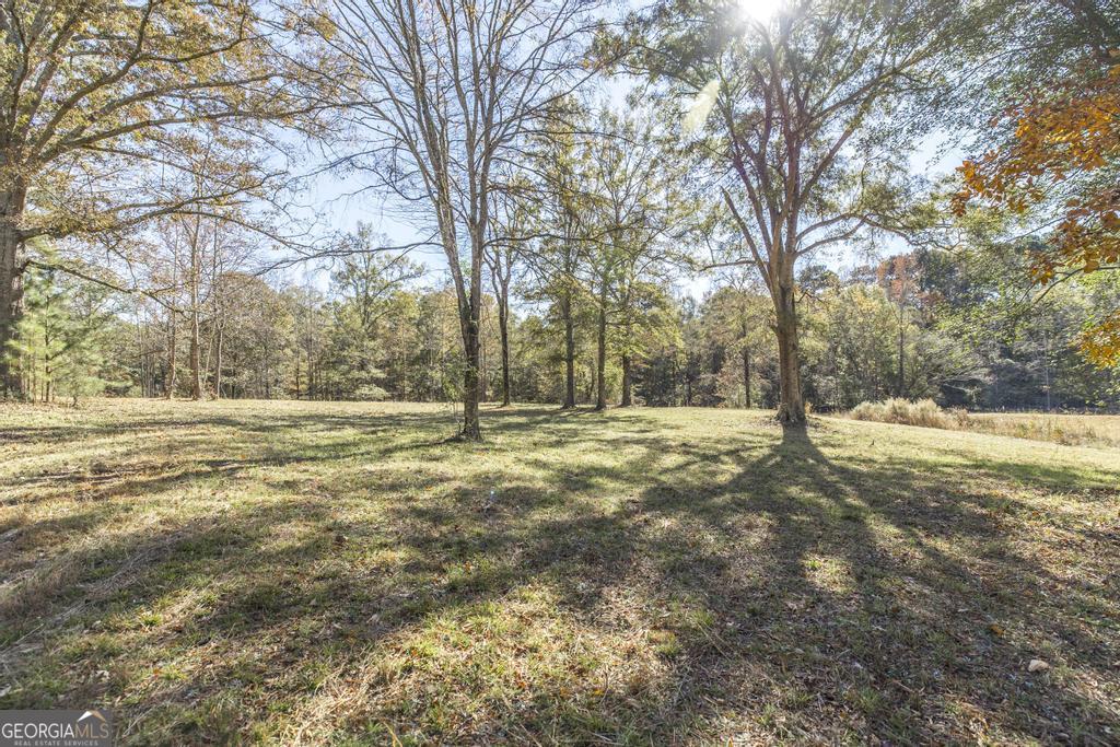 1701 Blue Springs Road Buckhead, GA 30625 - Photo 10 of 24 a view of outdoor space with trees