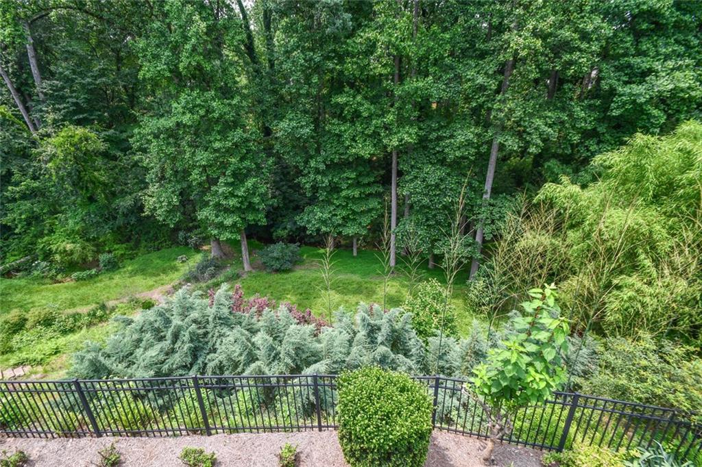 1173 St Charles Place Gainesville, GA 30501 - Photo 42 of 81