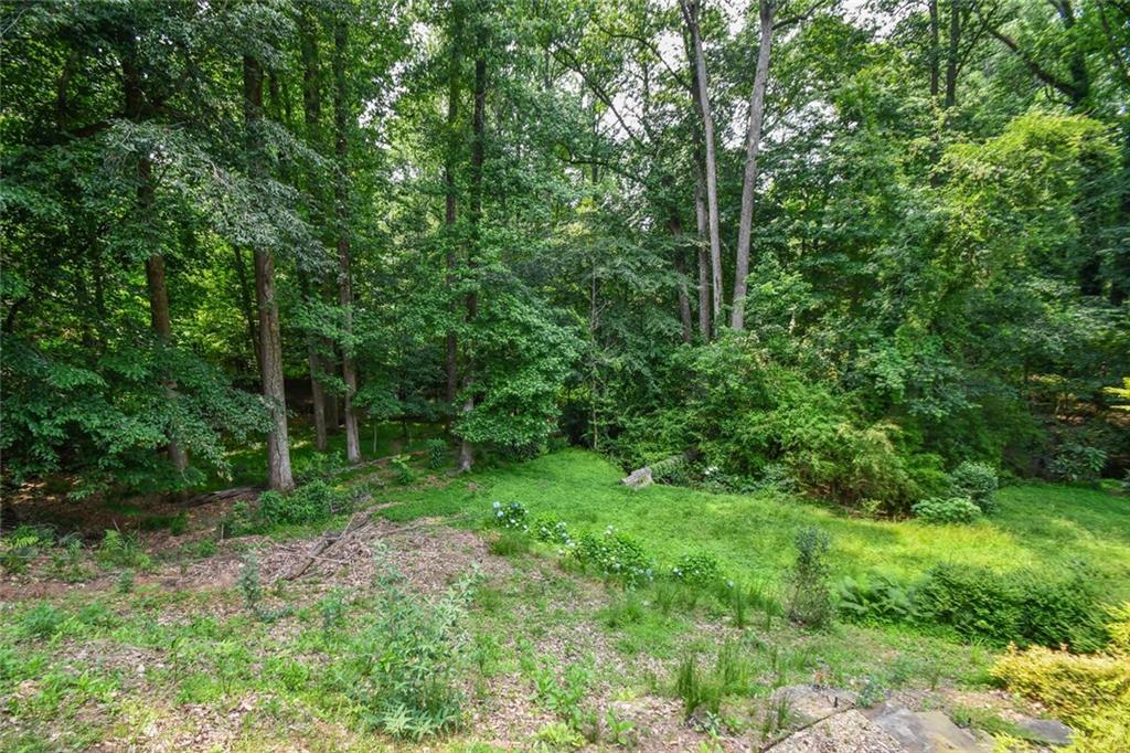 1173 St Charles Place Gainesville, GA 30501 - Photo 56 of 81